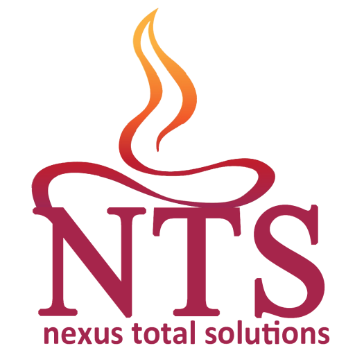 Nexus Total Solutions | eCommerce setup | Custom web development | Payment Gateway integration
